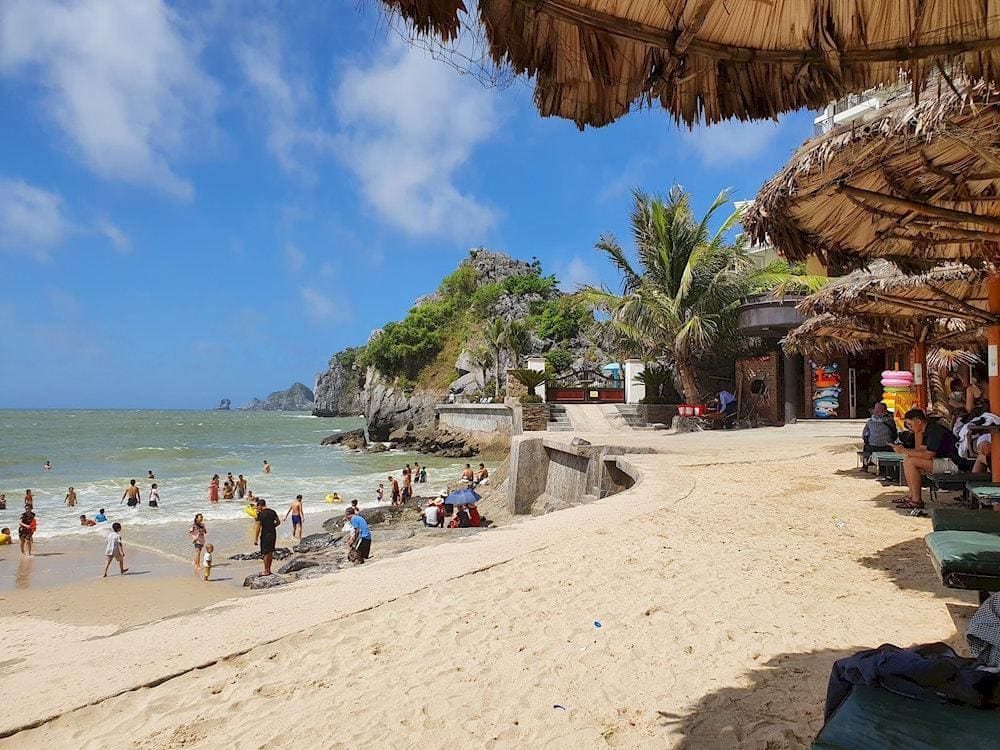 Cat Co 3 offers a modern twist with many amenities close by